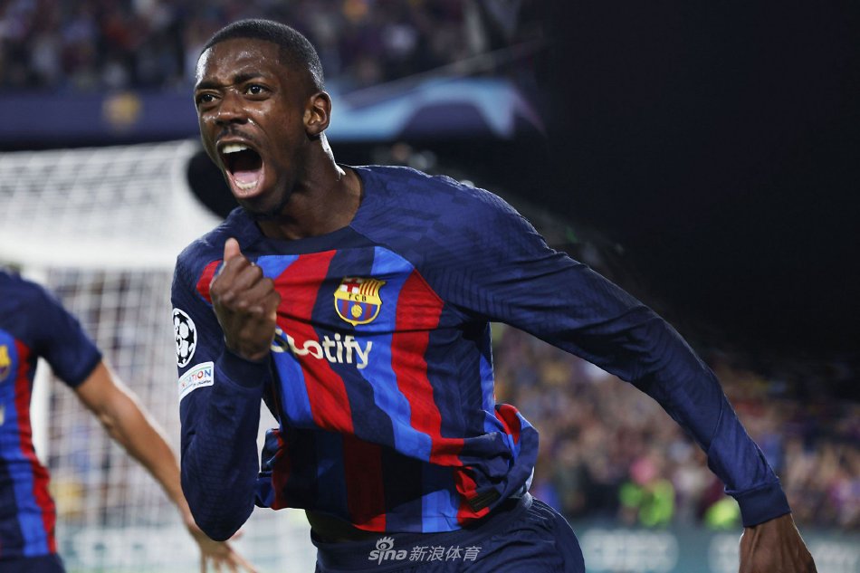 科尔还强调 科尔还强调